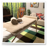 Lettino professionale in ambiente accogliente e riservato dello studio Oikia Massaggi.